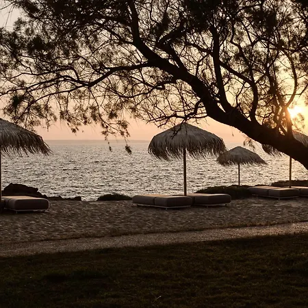 Cove Paros Отель Науса
