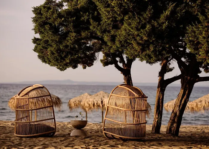 Cove Paros Hotel Naousa